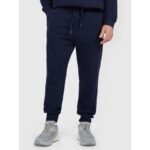 Mens jogger sweatpants 4F 4FRMM00TTROM1624-31S