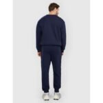 Mens jogger sweatpants 4F 4FRMM00TTROM1624-31S - Image 2