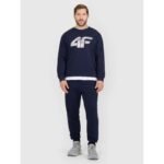 Mens jogger sweatpants 4F 4FRMM00TTROM1624-31S - Image 3