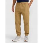 Mens jogger sweatpants 4F 4FRMM00TTROM1627-83S