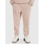 Mens jogger sweatpants 4F 4FRSS25TTROM1476-83S