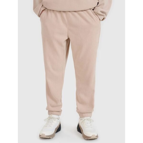 Mens jogger sweatpants 4F 4FRSS25TTROM1476-83S