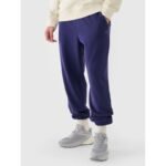 Mens jogger sweatpants 4F 4FWMM00TTROM1139-31S