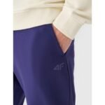 Mens jogger sweatpants 4F 4FWMM00TTROM1139-31S - Image 2