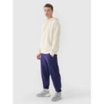 Mens jogger sweatpants 4F 4FWMM00TTROM1139-31S - Image 3
