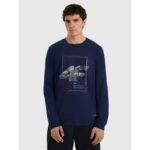 Mens longsleeve regular with print 4F 4FRAW25TLONM606-31S