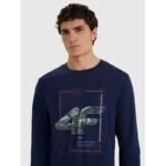 Mens longsleeve regular with print 4F 4FRAW25TLONM606-31S - Image 3