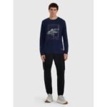 Mens longsleeve regular with print 4F 4FRAW25TLONM606-31S - Image 5