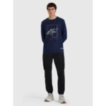 Mens longsleeve regular with print 4F 4FRAW25TLONM606-31S - Image 6