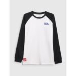 Mens oversize longsleeve 4F 4FRAW25TLONM633-10S - Image 8