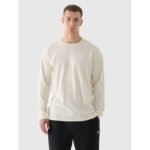 Mens oversize longsleeve with print 4F 4FRAW24TLONM507-83S