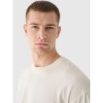 Mens oversize longsleeve with print 4F 4FRAW24TLONM507-83S - Image 3