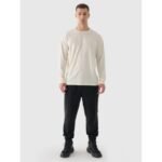 Mens oversize longsleeve with print 4F 4FRAW24TLONM507-83S - Image 5
