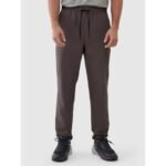 Mens quick-drying training pants 4F 4FWSS25TFTRM0781-81S
