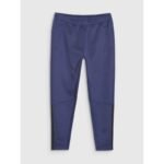 Mens quick-drying training pants 4F 4FWSS25TFTRM0836-30S - Image 6