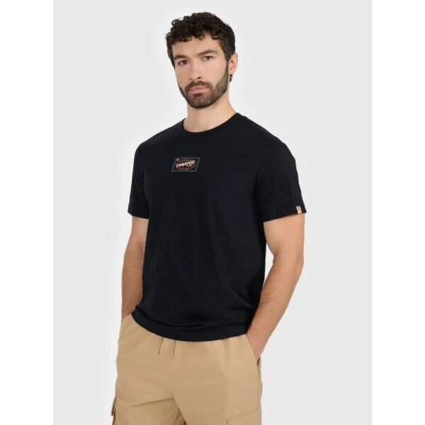 Mens regular printed T-shirt 4F 4FRAW25TTSHM3377-20S