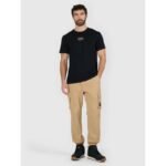 Mens regular printed T-shirt 4F 4FRAW25TTSHM3377-20S - Image 4