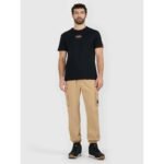 Mens regular printed T-shirt 4F 4FRAW25TTSHM3377-20S - Image 5