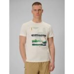 Mens regular printed T-shirt 4F 4FRAW25TTSHM3378-11S