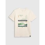 Mens regular printed T-shirt 4F 4FRAW25TTSHM3378-11S - Image 7