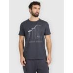 Mens regular printed T-shirt 4F 4FRAW25TTSHM3845-22S