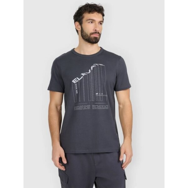 Mens regular printed T-shirt 4F 4FRAW25TTSHM3845-22S