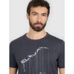 Mens regular printed T-shirt 4F 4FRAW25TTSHM3845-22S - Image 5