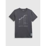 Mens regular printed T-shirt 4F 4FRAW25TTSHM3845-22S - Image 7
