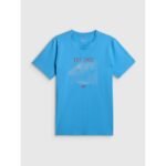 Mens regular printed T-shirt 4F 4FRSS26TTSHM4039-33S - Image 7