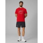 Mens regular printed T-shirt 4F 4FRSS26TTSHM4039-62S - Image 3