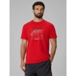 Mens regular printed T-shirt 4F 4FRSS26TTSHM4039-62S
