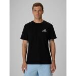 Mens regular printed T-shirt 4F 4FRSS26TTSHM4299-20S