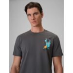 Mens regular printed T-shirt 4F 4FRSS26TTSHM4301-22S - Image 4