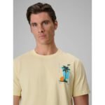 Mens regular printed T-shirt 4F 4FRSS26TTSHM4301-73S - Image 4