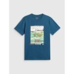 Mens regular printed T-shirt 4F 4FRSS26TTSHM4304-46S - Image 5