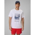 Mens regular printed T-shirt 4F 4FWSS26TTSHM2783-10S