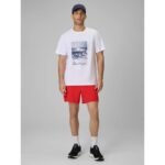 Mens regular printed T-shirt 4F 4FWSS26TTSHM2783-10S - Image 4