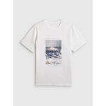 Mens regular printed T-shirt 4F 4FWSS26TTSHM2783-10S - Image 5
