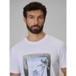 Mens regular printed T-shirt 4F 4FWSS26TTSHM3034-10S - Image 3