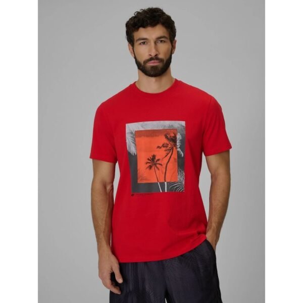 Mens regular printed T-shirt 4F 4FWSS26TTSHM3034-62S