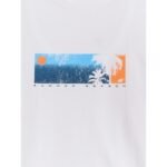 Mens regular printed T-shirt 4F 4FWSS26TTSHM3335-10S - Image 2
