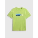 Mens regular printed T-shirt 4F 4FWSS26TTSHM3335-42S