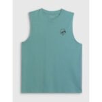Mens relaxed sleeveless T-shirt with print 4F 4FRSS26TSLEM365-47S - Image 5
