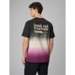 Mens relaxed T-shirt with print 4F 4FRSS26TTSHM3815-20A - Image 2