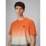 Mens relaxed T-shirt with print 4F 4FRSS26TTSHM3815-70A - Image 3