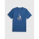 Mens relaxed T-shirt with print 4F 4FRSS26TTSHM3996-033S - Image 5