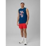 Mens sleeveless shirt 4F 4FWSS26TSLEM269-46S - Image 3