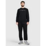 Mens sweatshirt without zipper and hood 4F 4FRAW25TSWSM2573-20S - Image 3