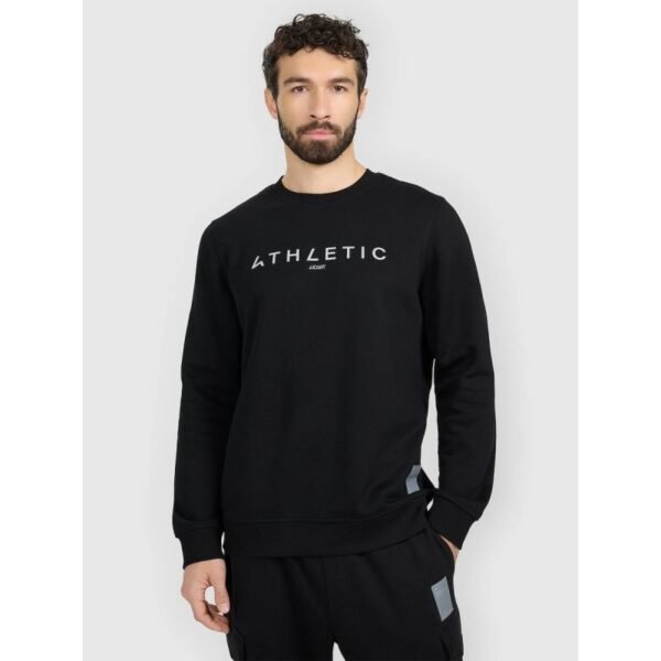 Mens sweatshirt without zipper and hood 4F 4FRAW25TSWSM2573-20S