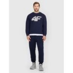 Mens sweatshirt without zipper and hood 4F 4FRMM00TSWSM2479-31S - Image 2